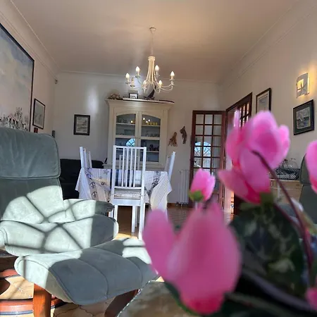 Charmante Maison Avec Jardin Proche 度假居 居让梅斯特拉
